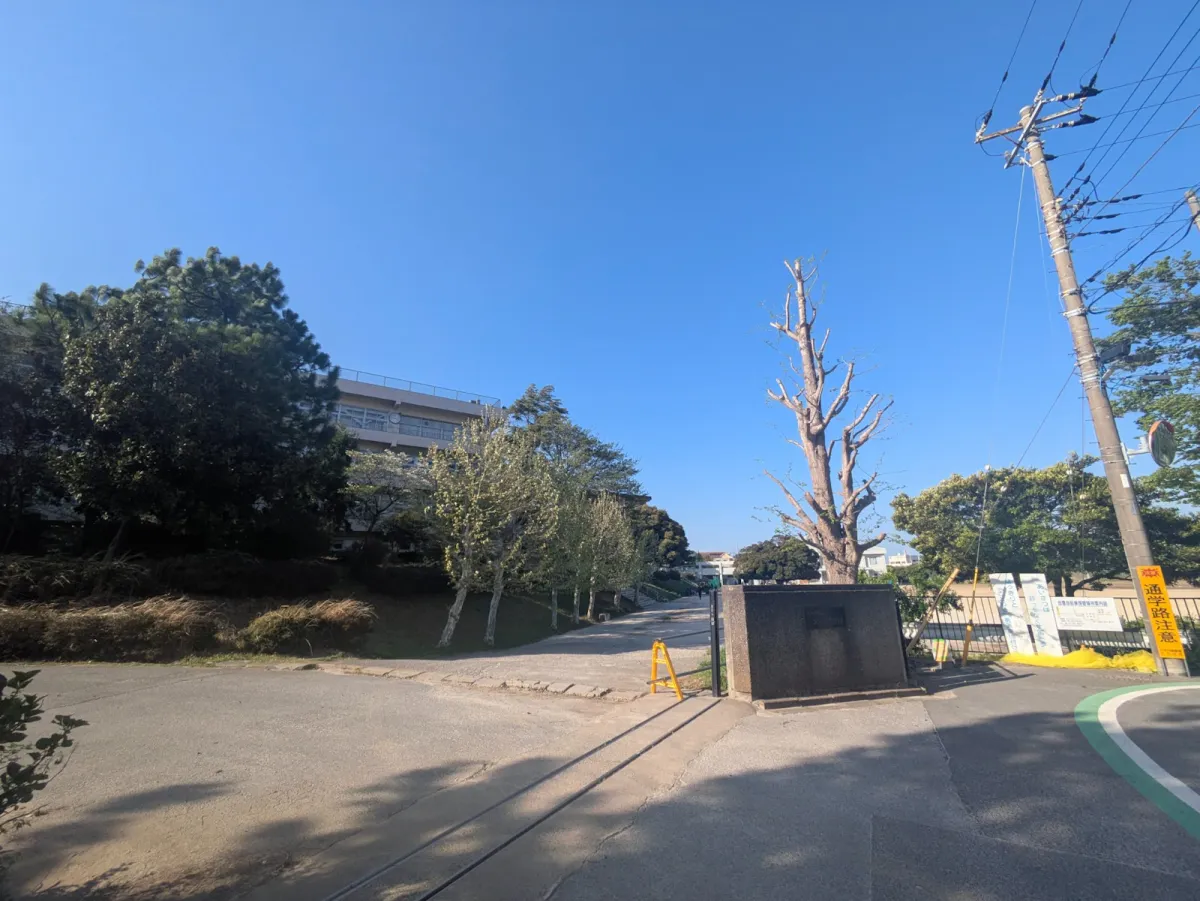中学校：八千代市立大和田中学校まで約900m