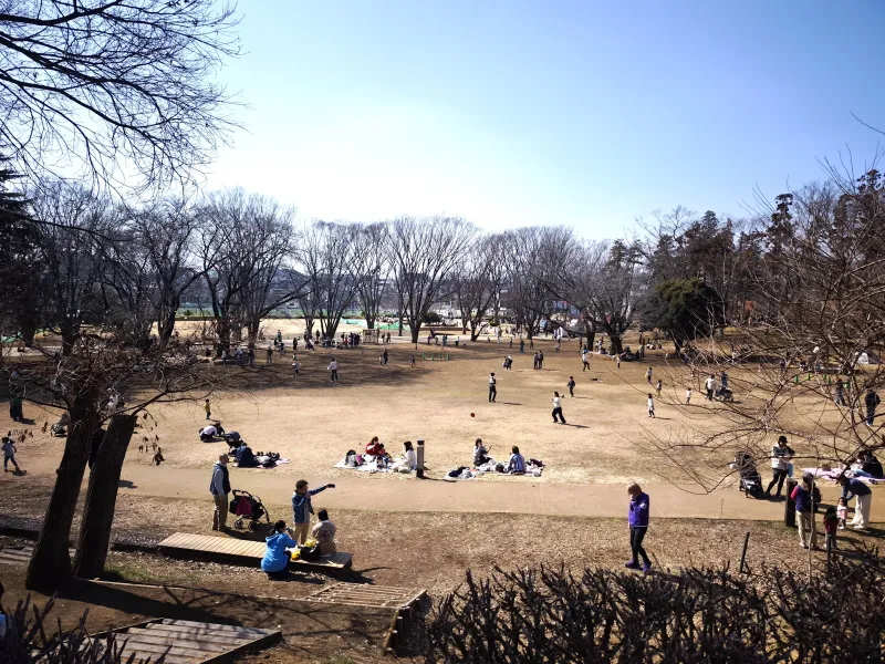 鶴間公園　900m